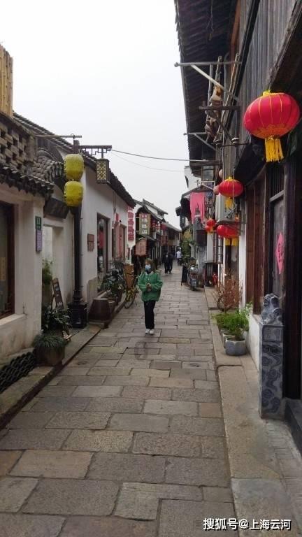 救援小肥兔
